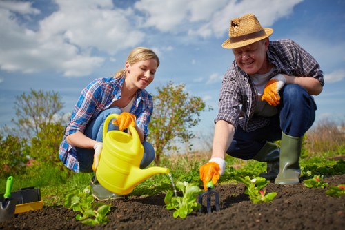 A man and a woman working together in a well-maintained garden shows them planting young green lettuce and vegetable seedlings in dark, fertile soil. They are dressed casually with gardening gloves; the woman wears a blue plaid shirt and the man has a straw hat and checkered shirt. The garden has neat planting beds separated by a narrow path, with the background featuring a lush hedge and a few trees under a partly cloudy sky, suggesting a bright, pleasant day typical of outdoor gardening in London. The scene emphasizes outdoor cultivation and garden care, aligning with professional gardening and landscaping services, with the natural greenery and healthy plants indicating good gardening practices.